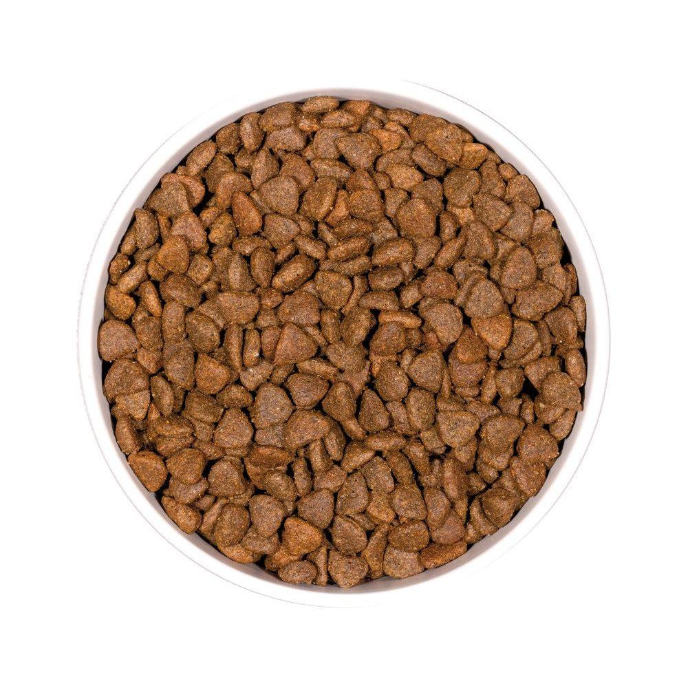 OWNAT PRIME Grain Free Kitten senza cereali pollo & tacchino per gattino - SuiteForPets