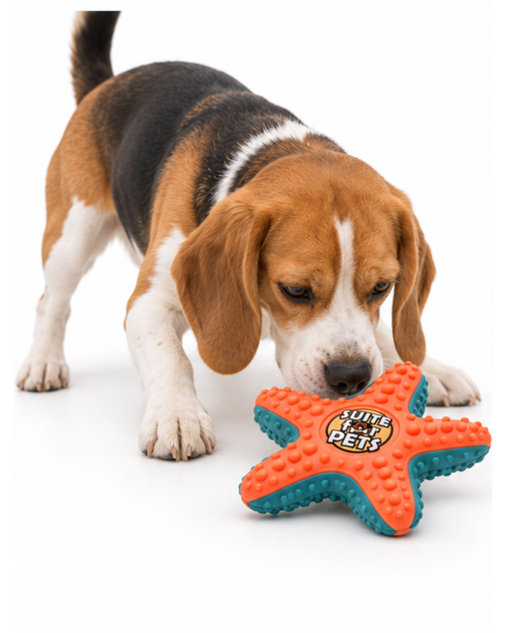 Suite For Pets Star-Shaped Rubber Dog Toy – Textured Orange and Teal - Image 7