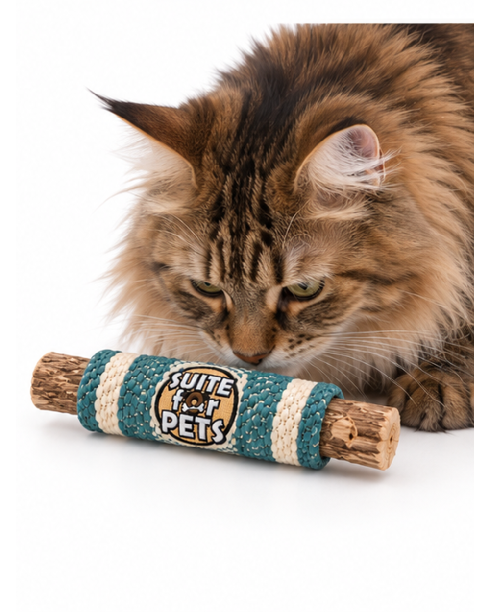 Suite For Pets Wooden Dog Play Toy with Woven Teal and Cream Sleeve - Image 6